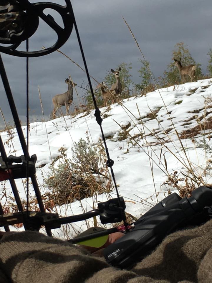 Hunting trophy